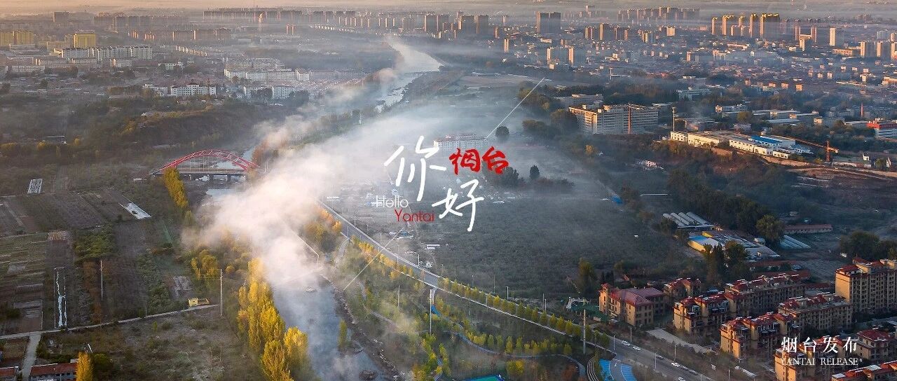 【你好 烟台】“美拉德”色系的仙境，就是赏秋天花板！