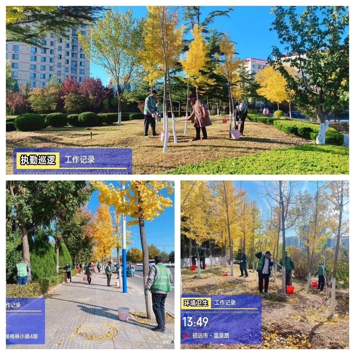 招远市综合行政执法局园林中心精细化养护保障植物安全越冬