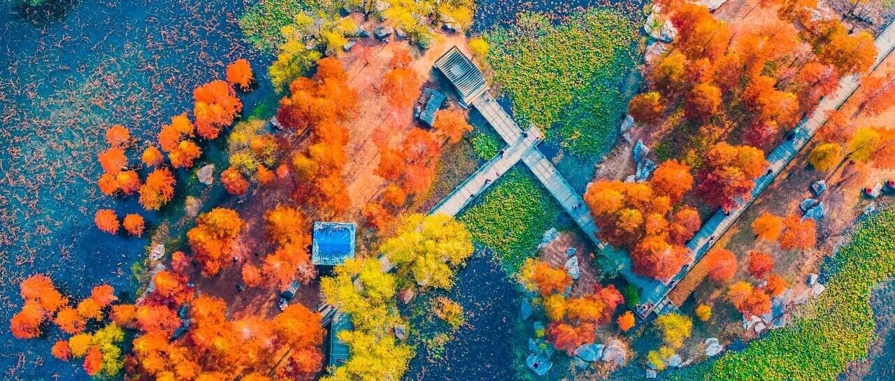 红了红了！烟台初冬顶流，太出片！