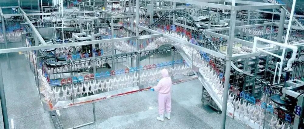 【央媒看莱阳】新华社:春雪食品“双11狂欢季”再创佳绩