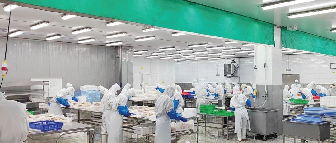 海和集团叩开全球市场！