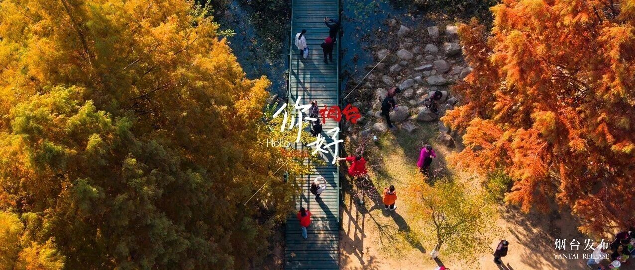 【你好 烟台】烟台邀你入画来……