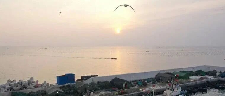 你见过长岛凌晨两点的海吗？那是一幅由忙碌绘就的丰收图景