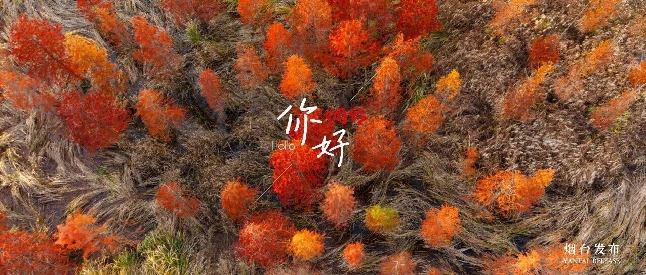 【你好 烟台】初冬的这里，美出了一个“油画世界”！