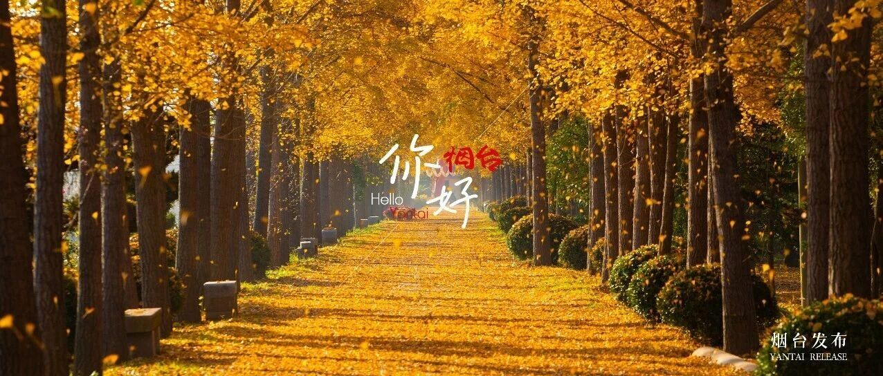 【你好 烟台】请检阅！这座城的鎏金浪漫