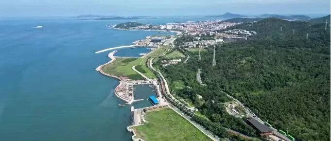 海外社交媒体上的“烟台声音”（11月10日-16日）