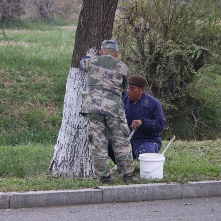 未“雪”绸缪！栖霞市综合行政执法局备战冬季除雪保畅工作