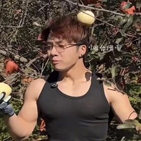 培育本土网红，对接外地达人，栖霞苹果电商不断取得新突破