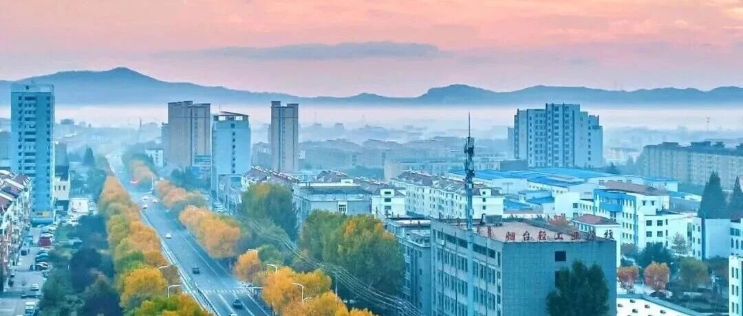 层林尽染，海阳最是橙黄橘绿时