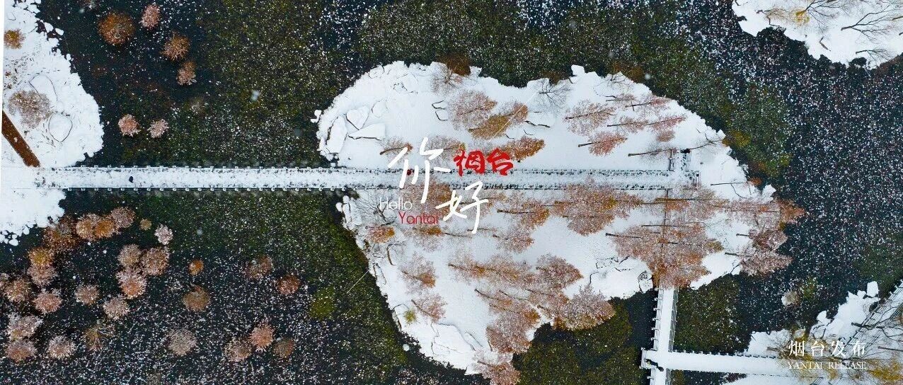 【你好 烟台】这个冬天，想和你一起看雪