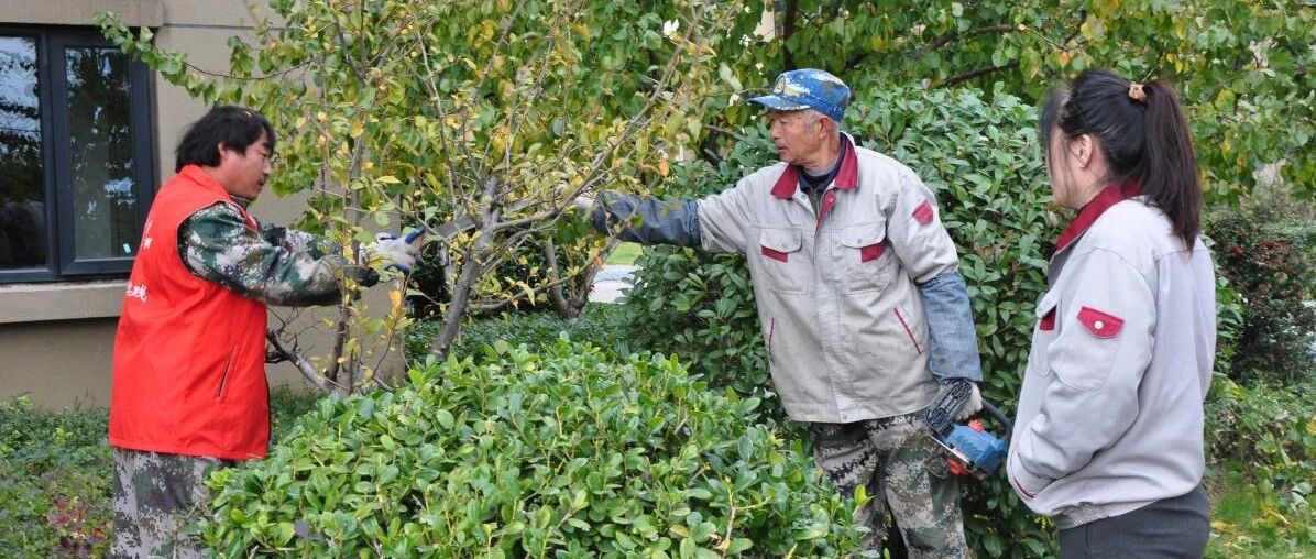技术送上门！福山园林服务进社区，探索绿地管理联动新机制
