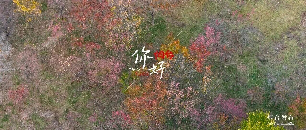 【你好 烟台】一不小心，把风光拍成了水墨画！