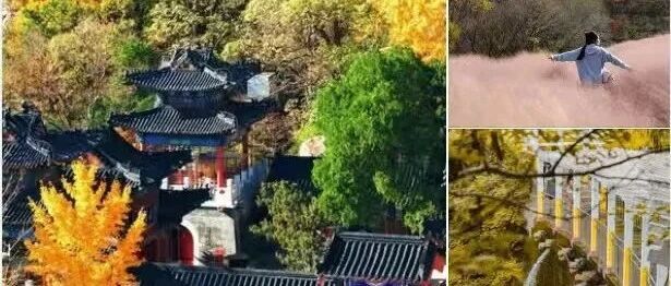 海外社交媒体上的“烟台声音”（11月17-23日）