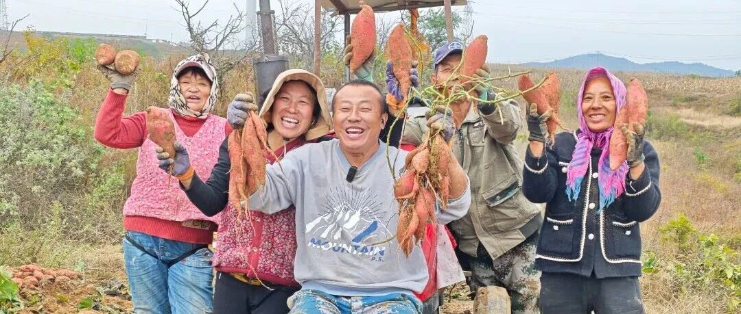 “苹果+红薯”，招远市夏甸镇田间“科技范儿” 绘就双轮驱动新图景