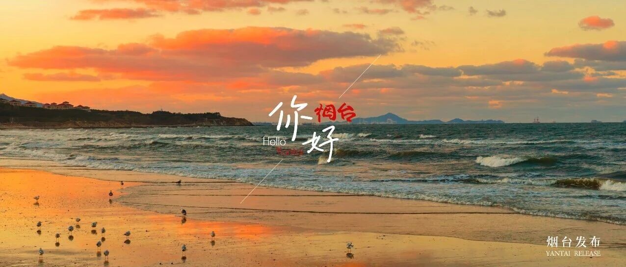 【你好 烟台】冬日的仙境海岸，治愈力直接拉满！