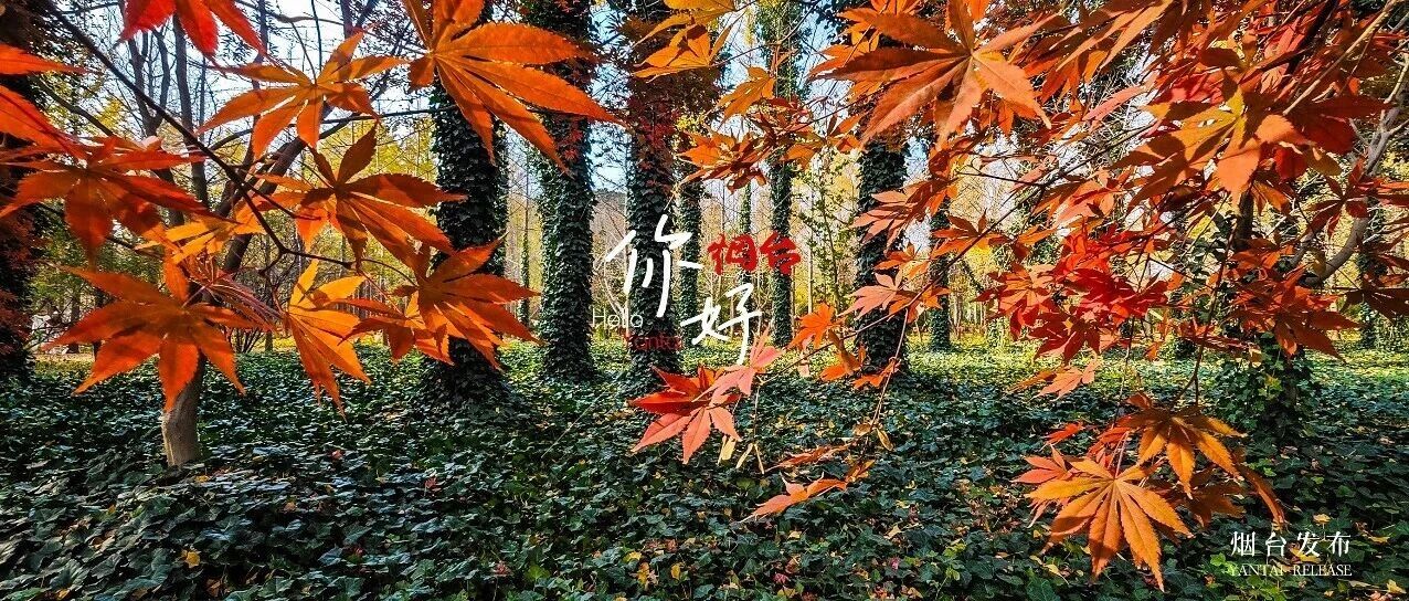 【你好 烟台】仙境的美，无需滤镜！