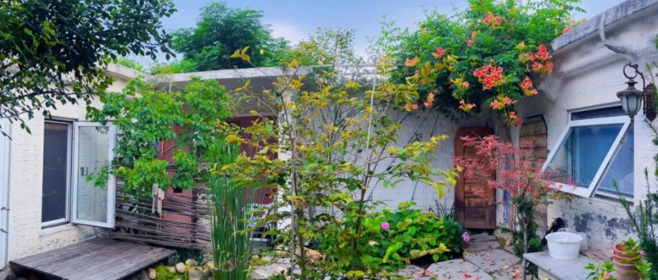 美出圈！莱州这个庭院获国家级认可！