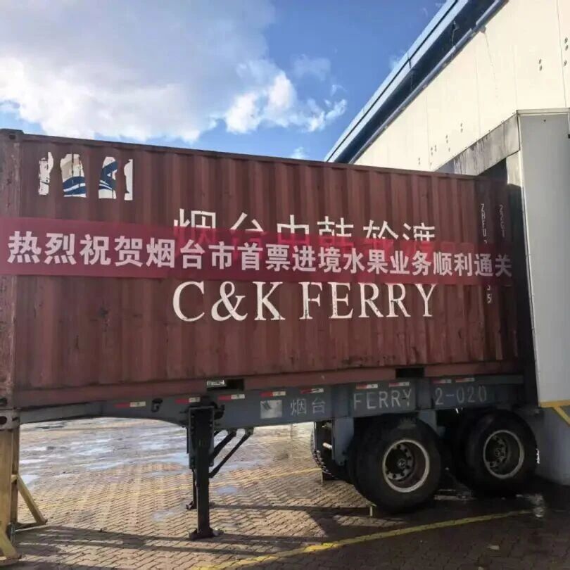 全球鲜果直抵港城，烟台口岸开启水果进口新篇章