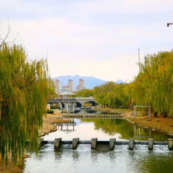 莱州南阳河“一键美颜”，美成“明星梦幻水景”！