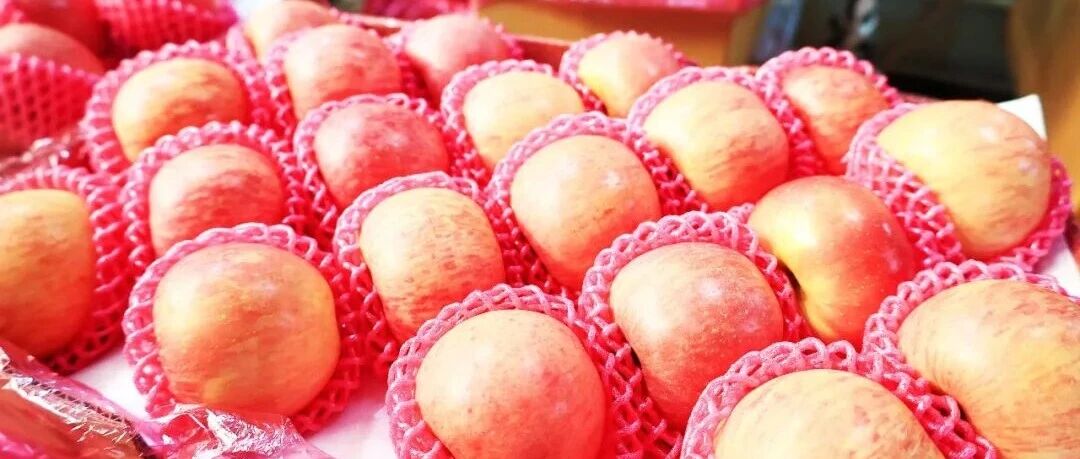 让苹果“冻龄”的魔法！福山这个村用“冷”实力打破苹果季节限定