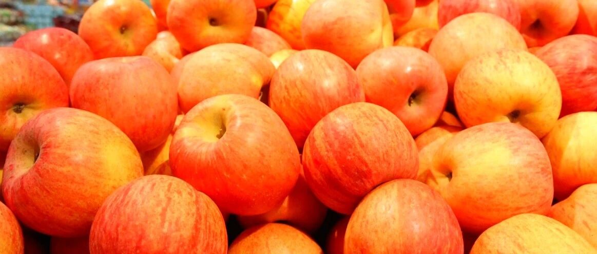 栖霞苹果扎根合肥 跨越千里甜蜜牵手