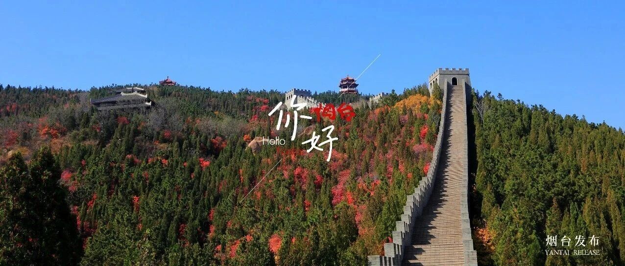 【你好 烟台】被烟台的山圈粉了！这处秘境太惊喜