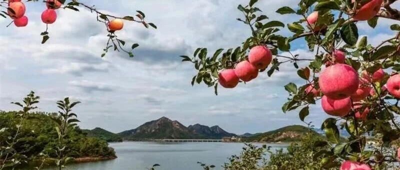 栖霞6位作家入选省作协 文学之乡再添新彩