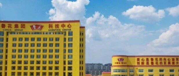 鲁花集团荣膺“2025好品牌100深入人心·粮油行业主榜品牌”