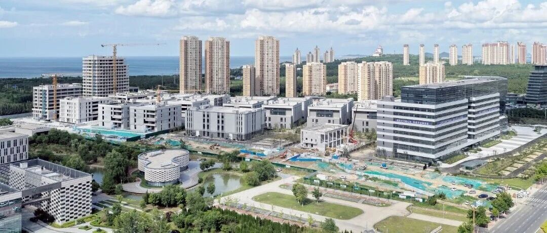 烟台高新区：以改革“关键一招”激发国企澎湃动能 谱写高质量发展新篇章