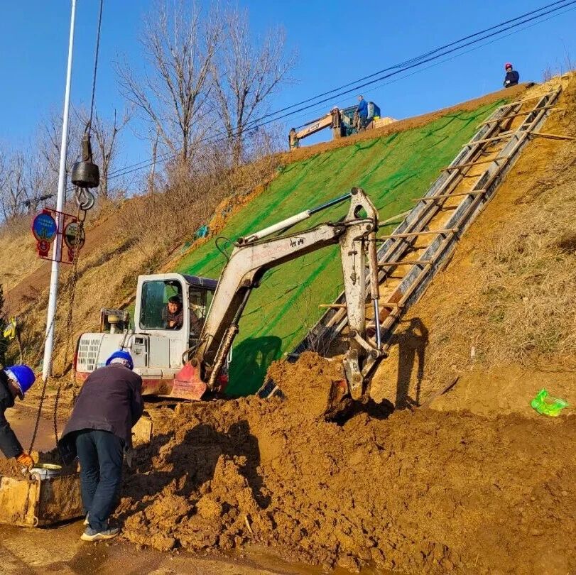 招远市开展增绿复绿工作 文三线大堰坡将现“绿色新容颜”