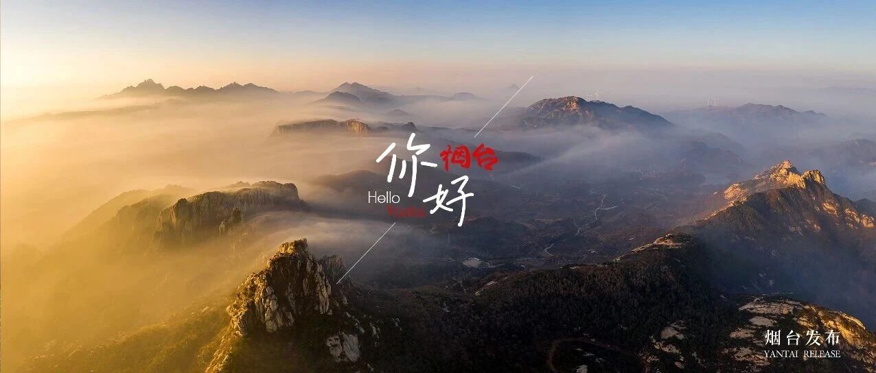 【你好 烟台】闯入仙境！晨光+云海太惊艳！
