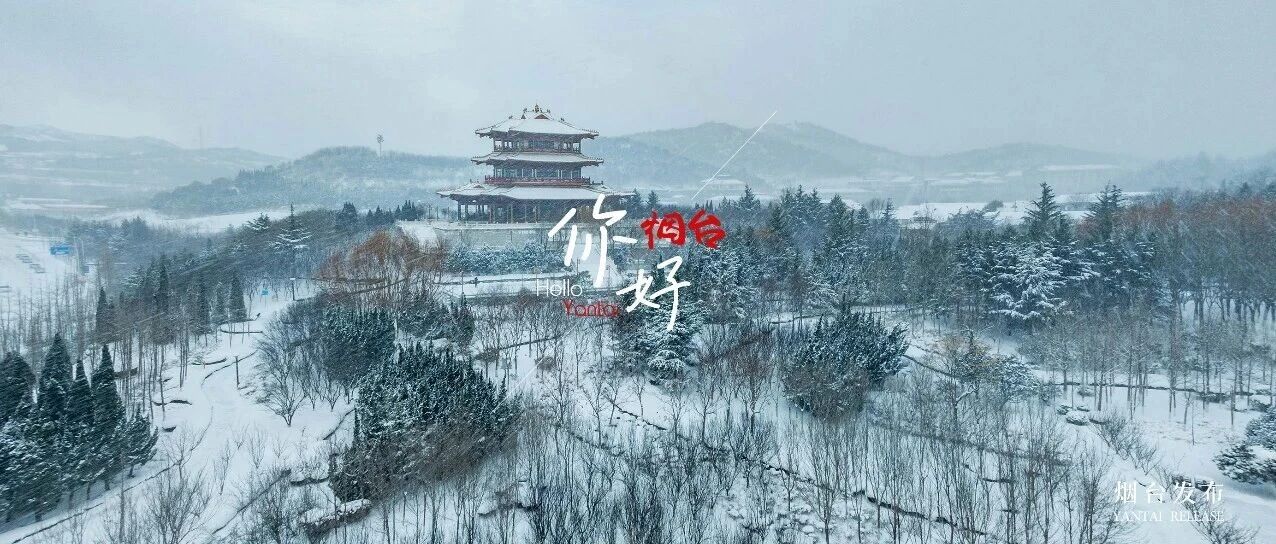 【你好 烟台】雪中黄金阁！解锁冬季限定“皮肤”