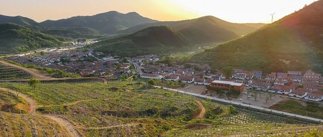 奋楫2025｜沃野织锦绣，海阳绘就乡村振兴新篇章