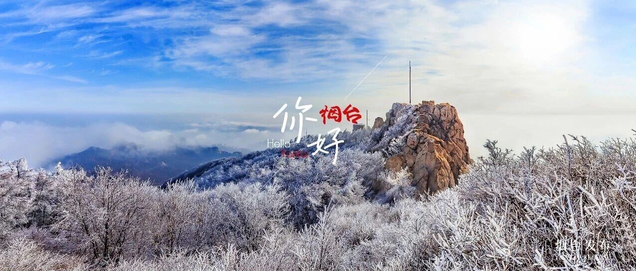 【你好 烟台】小寒至，年近春不远