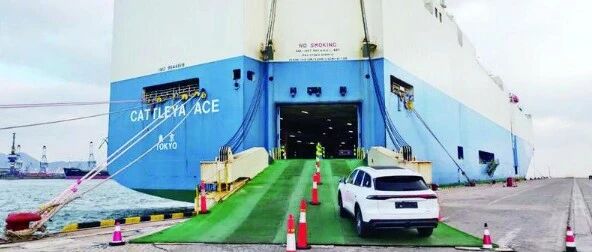 开局“十五五”  奋斗正当时丨烟台港商品车码头新年生产实现开门红