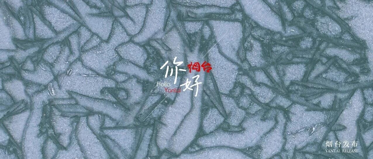 【你好 烟台】仙境“开”出绝美冰花