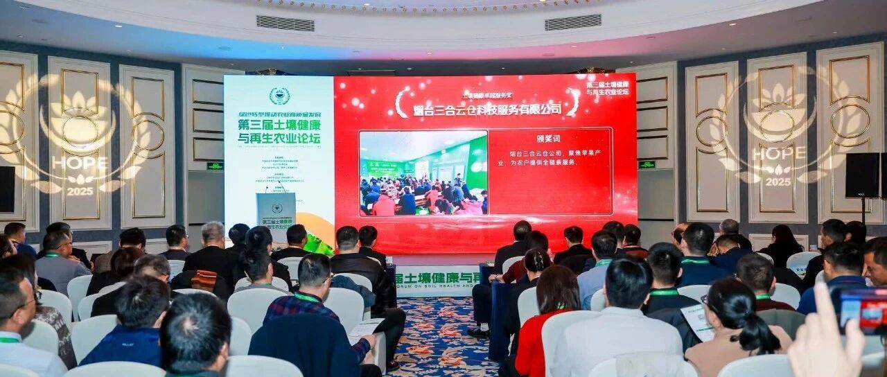 “卓越服务奖”背后，是对栖霞超过百个村庄土地的精准“把脉”