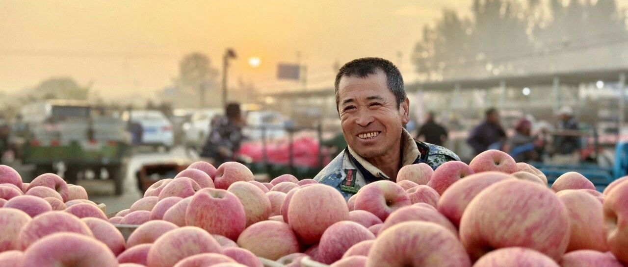 在栖霞，获《人民日报》点赞的“双向奔赴”有一个温暖甜蜜的“苹果版本”