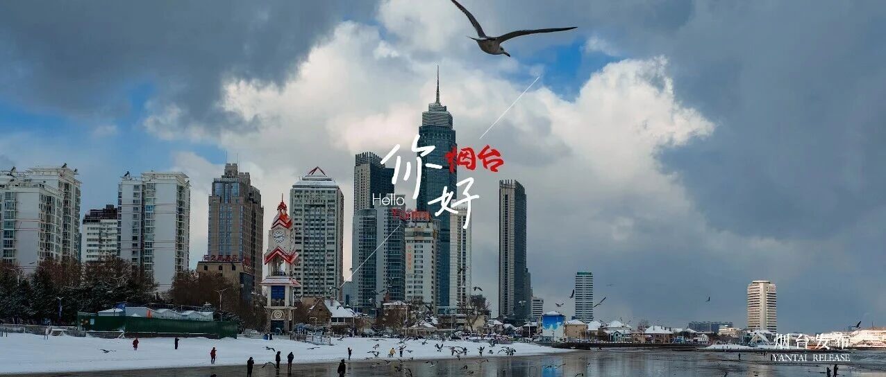 【你好 烟台】看海、听雪、遇鸥，冬天的顶配都在这里了