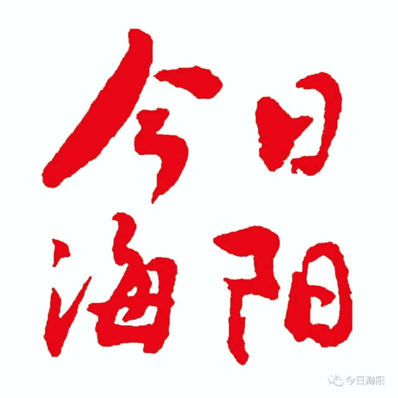 读报｜《今日海阳》1月13日电子版