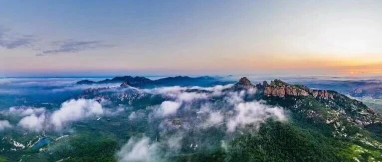 首开烟台常态化航空护林模式  栖霞市70万亩林地有了“空中卫士”