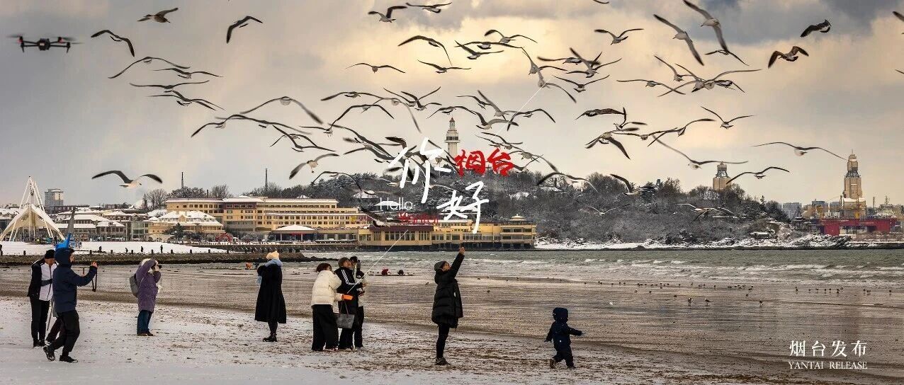 【你好 烟台】快来烟台“鸥”遇冬日仙境