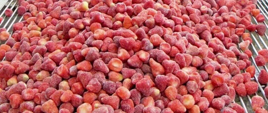 从莱州车间到欧洲甜品台！这颗草莓的“丝路甜旅”正在加载中......