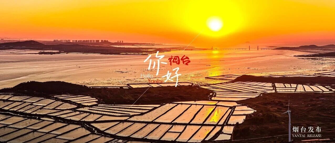 【你好 烟台】走！到这片湾，追一眼“沦陷”的朝霞
