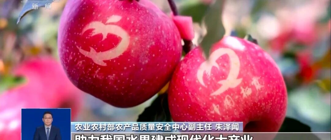 栖霞市特色农产品再次被央视多栏目报道