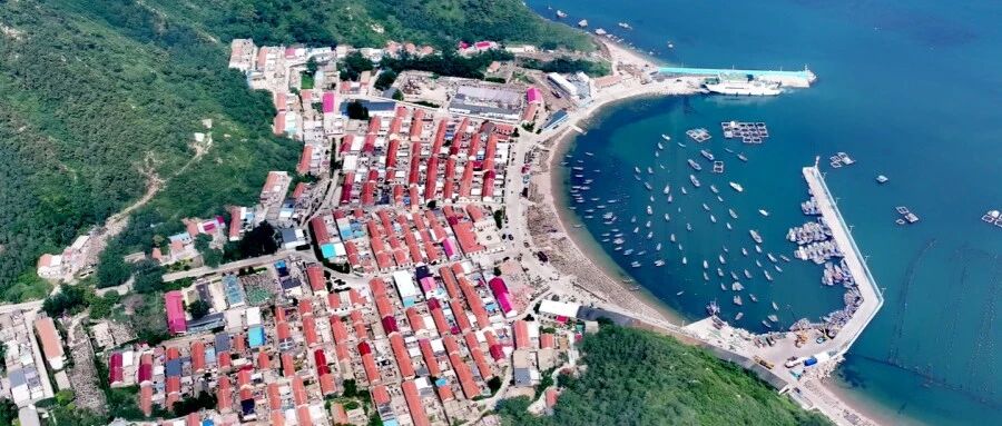 【盘点2025】长岛综合试验区小钦岛乡：党建引领促振兴，干群合力谱新篇