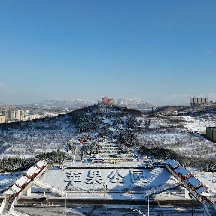 栖霞市又又又上央视啦