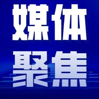 聚焦绿色食品“出海” ，莱阳特色做法被新华社《参考消息》报道