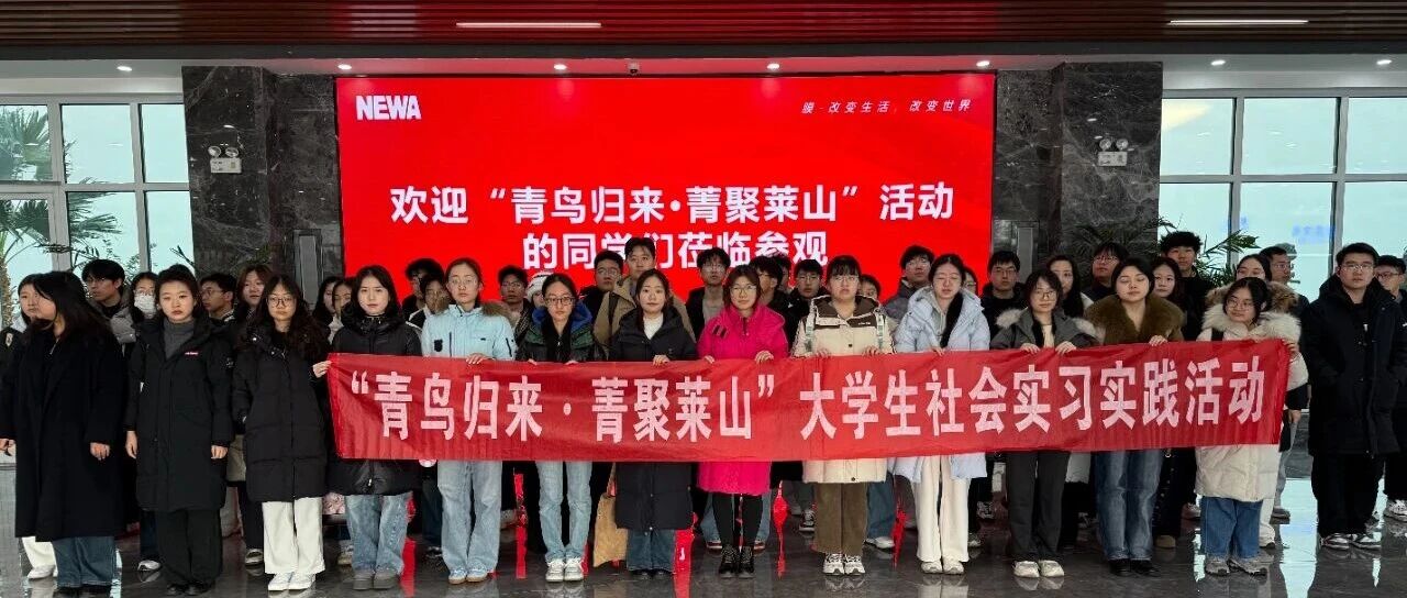 莱山区“青鸟计划”启动：学子归乡，触摸家乡发展脉动