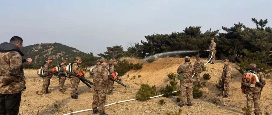以练备战筑防线|招远市密集开展森林防火应急拉动演练